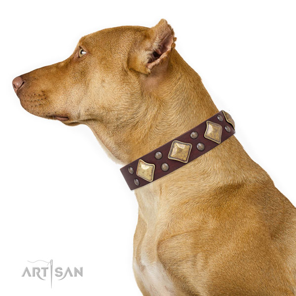 Pitbull easy adjustable full grain natural leather dog collar for fancy walking