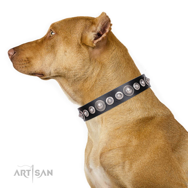 Pitbull trendy natural genuine leather dog collar for everyday use