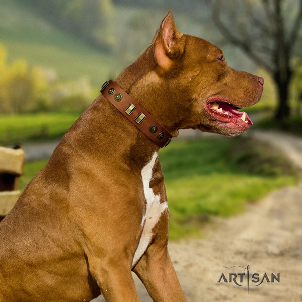 Pitbull best quality natural genuine leather dog collar with incredible studs