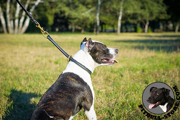 Rounded leather choke Pitbull collar for silent training