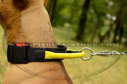 Ultra Lightweight Pitbull Dog Collar