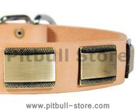 Designer Dog Collar for Pitbull-Leather Custom Collar