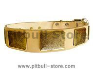 Handcrafted Leather Dog Collar With Vintage Massive Plates