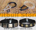 Pit Bull Nylon collars