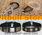 Pit Bull Nylon collars