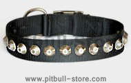 Gorgeous Wide Nylon Dog Collar With Nickle Pyramids