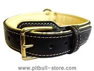 Royal Nappa Padded Hand Made Leather Dog Collar - code: C443