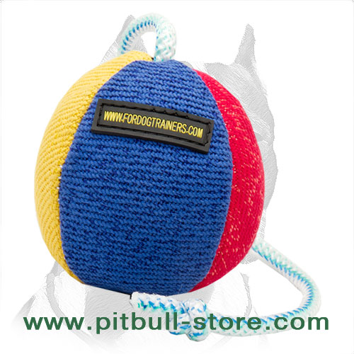 Training ball for Pitbull stitched variegated surface