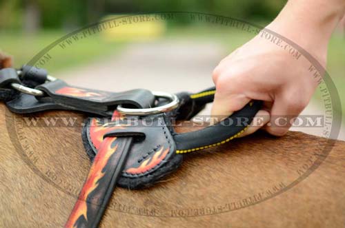 Dog Harness with D-ring for attaching a leash