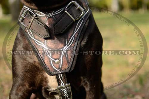 Strong Harness with Handle for better control