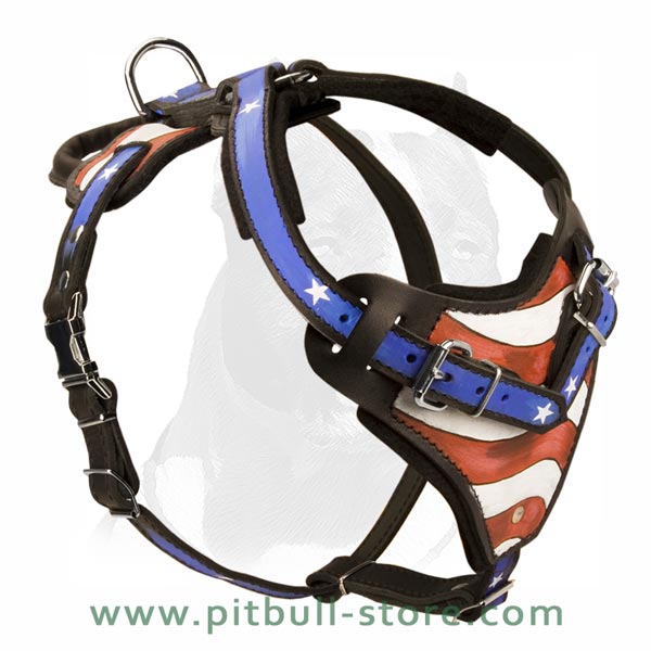 Safe Dog Harness with Extra Handle