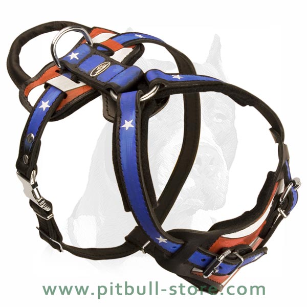 Leather Harness with padded chest and back plates
