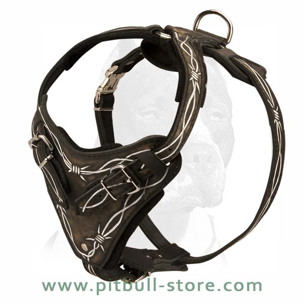 Very Secure Harness with quick release buckles