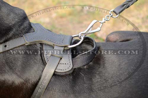 Harness with Welded D-ring