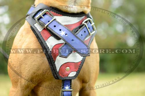 Harness with rust and corrosion resistant Hardware