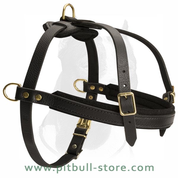 Harness Adjustable in 3 directions