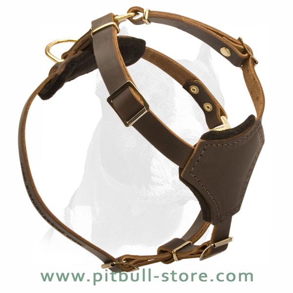 Leather Harness with Padded chest and back plates