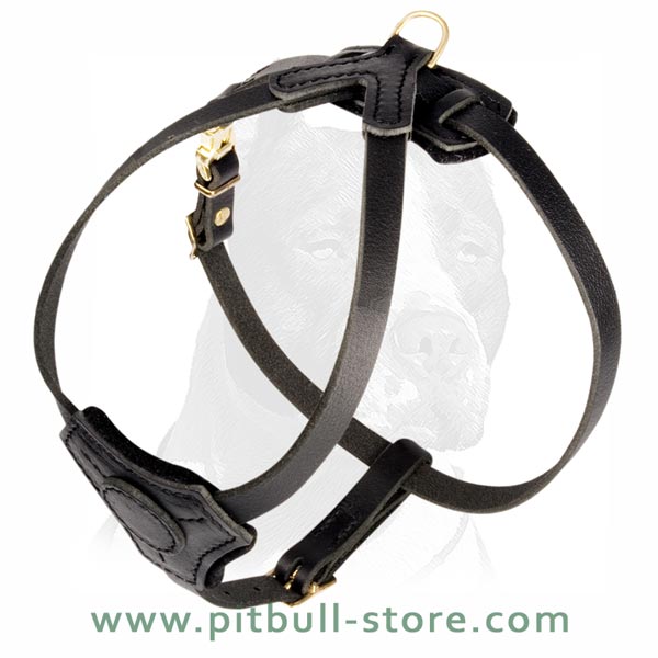 High-quality Puppy Harness with Felt padding