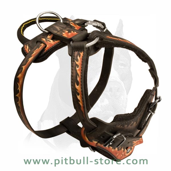 Leather Harness with Soft Padding