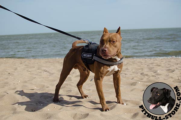 Water and dust resistant Pitbull harness