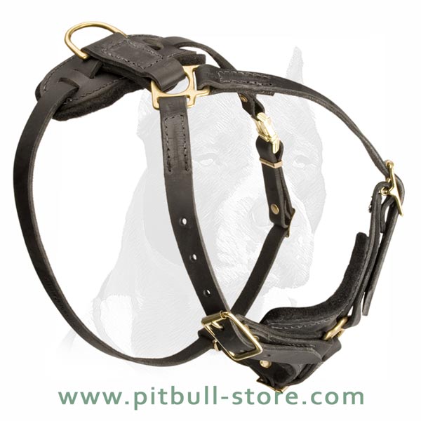 Good Harness with Solid brass fittings