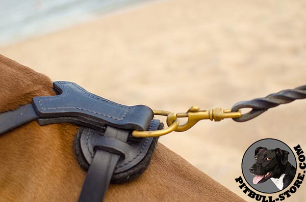 Genuine leather Pitbull harness with brass D-ring