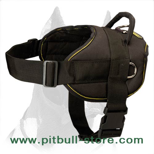 Pitbull nylon harness for professional training