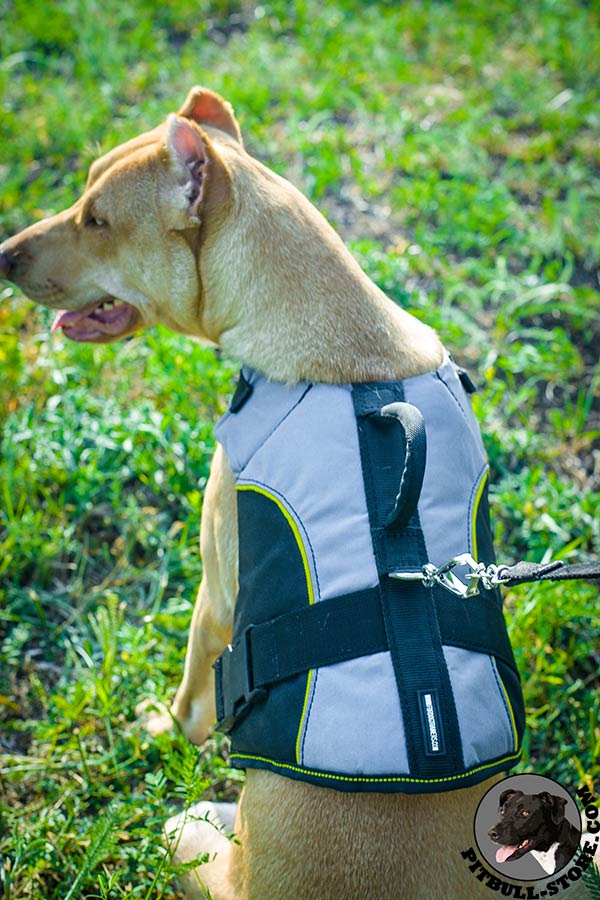 All-weather durable and practical dog vest for Pitbull