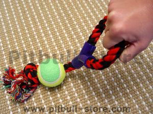 Fiber Bone with Ball and Handle
