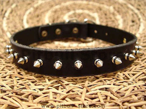 puppy leather spiked dog collar