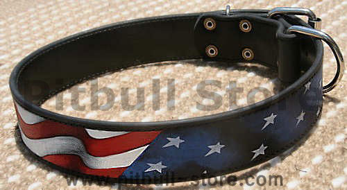 Hand painted by our artists leather dog collar - American Pride for Pitbull