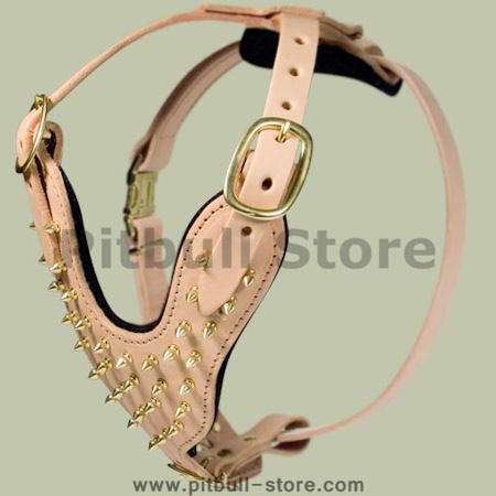 Handcrafted Leather Spiked Dog Harness made of brass spikes