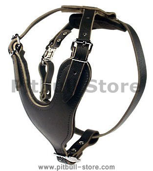 Leather Dog Harness for Pitbull - Durable Pit Bull Harnesse
