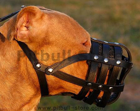 Everyday Light Weight Super Ventilation Pit bull muzzle-DogMuzzl - Click Image to Close