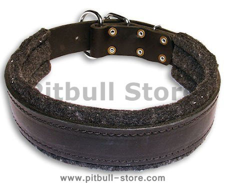 padded leather dog collar for walking,training,travel,tracking your dog