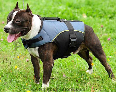 Vest dog  Harness - Nylon Dog Harness with handle for Pitbulls