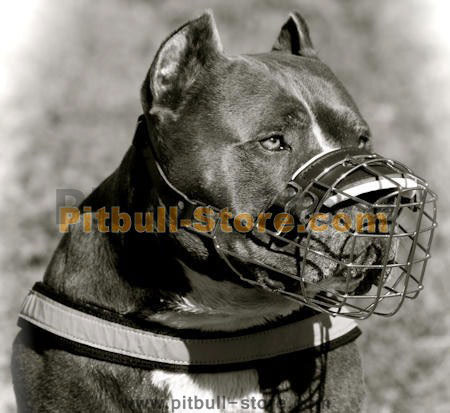 Pitbull Wire Muzzle - Wire Basket Dog Muzzle for Pitbull - M9