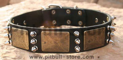 Gorgeous War Dog Leather Dog Collar-massive bras plates+3 spikes for Pitbull dog