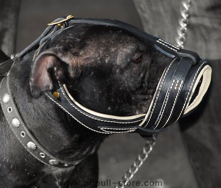 Pitbull Terrier Royal Nappa Leather Dog Muzzle
