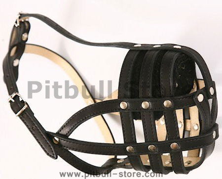 Padde leather dog muzzle for American Pitbull Terrier/Amstaff