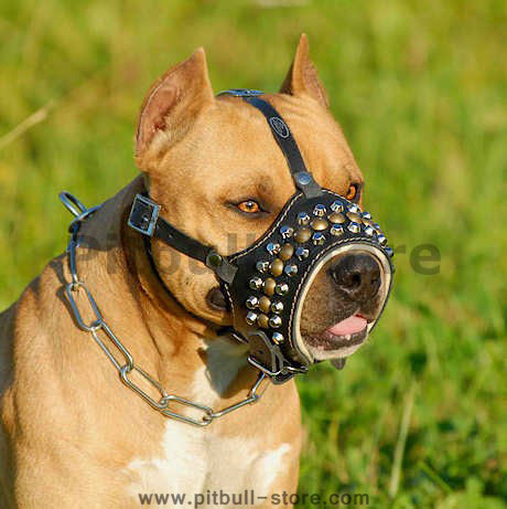 Royal Pyramids with studs Leather Dog Muzzle for Pitbulls