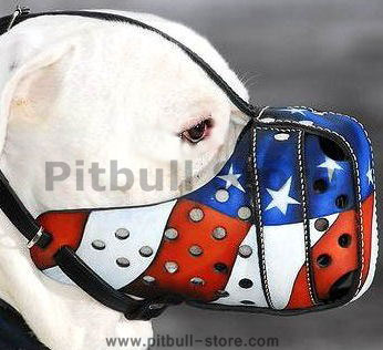 best designer leather dog muzzle for American Pitbull Terrier