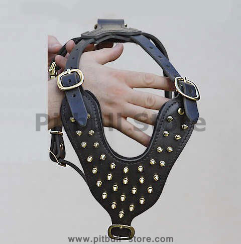 hand-made spiked leather dog harness made of brass