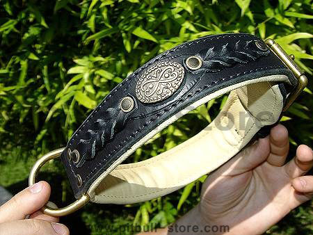 pitbull collar-leather dog collar-best collar