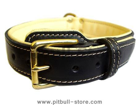 Royal Nappa Padded Hand Made Leather Dog Collar for Pitbull