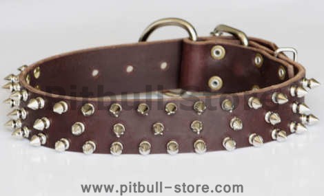 Leather Spiked dog collar for APBT 