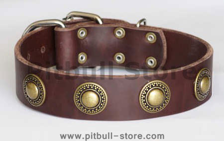 leather-dog-collar-silver-conchos-brown-dog-dog_LRG.jpg