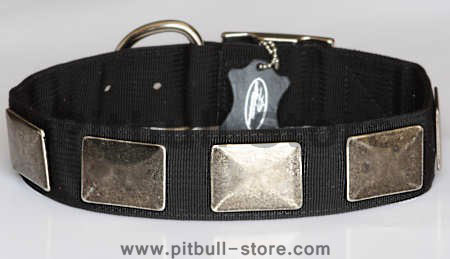 Nylon Dog Collar For Large and Medium Breeds With Vintage Plates for pitbul dog