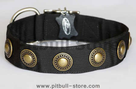 Nylon Dog collar with silver conchos for pitbul dog