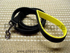 Nylon dog leash with support material on the handle- 4 to 6 foot for pitbull
